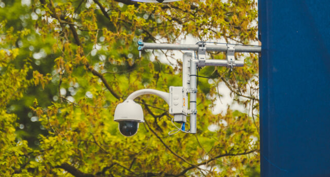 Foto 07-05-2022 07 20 10 (11)